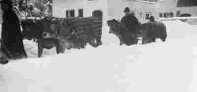 Ein Schneepfluggespann räumte die Siedlungsstraßen - 1942